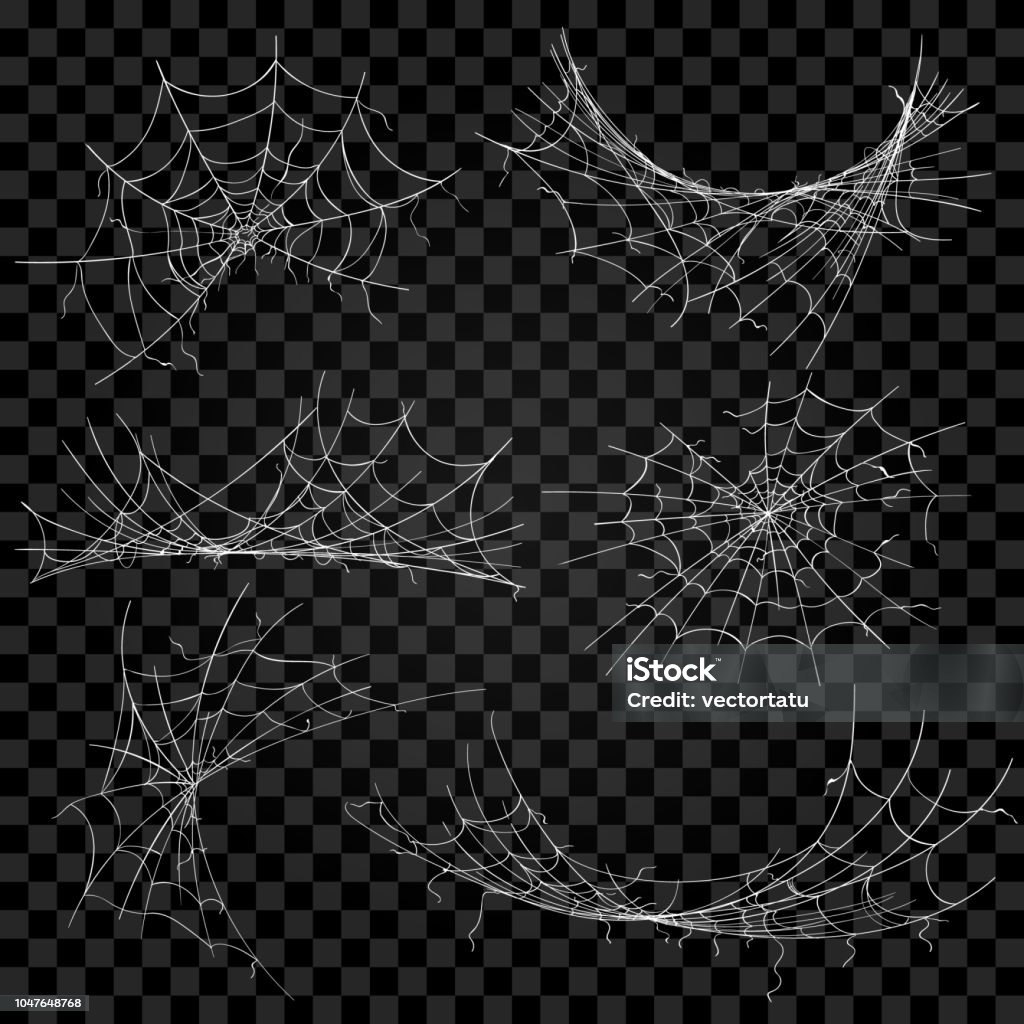 Spider halloween cogwebs on transparent Vector cobweb. Spider halloween spiderweb scary horror clipart isolated on transparent background Spider Web stock vector