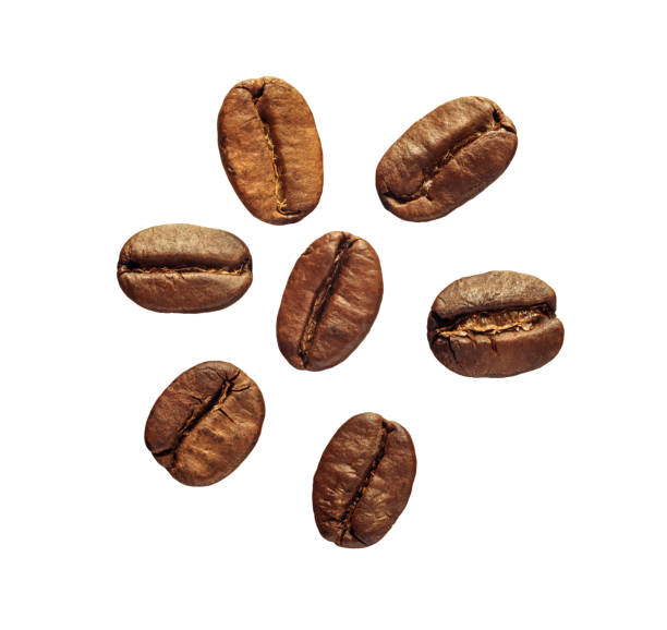 istock coffee grains isolated on white background close-up. there is a way 1047652544