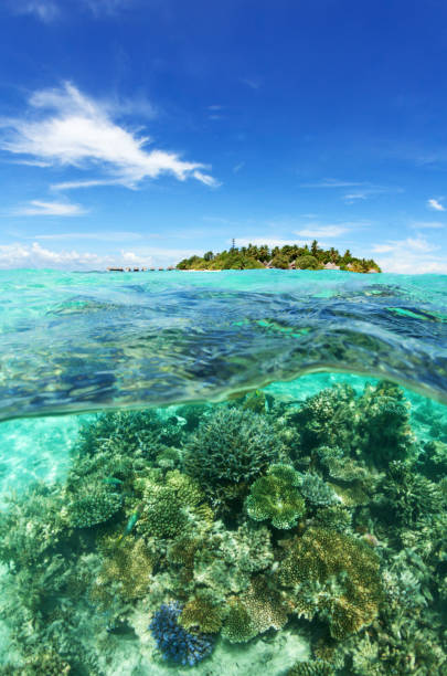 istock Travel to Maldives. 1047657176