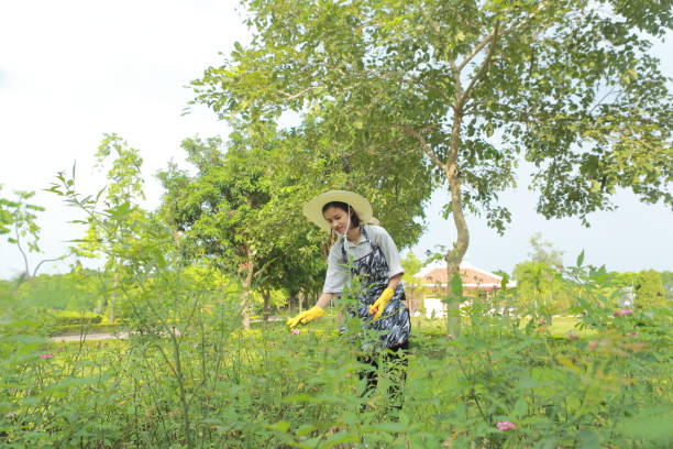 istock young woman gardening 1047661000