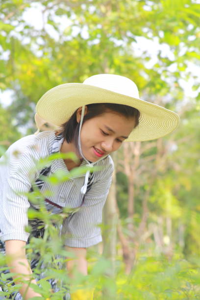 istock young woman gardening 1047661098