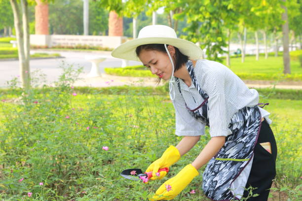 istock young woman gardening 1047661264