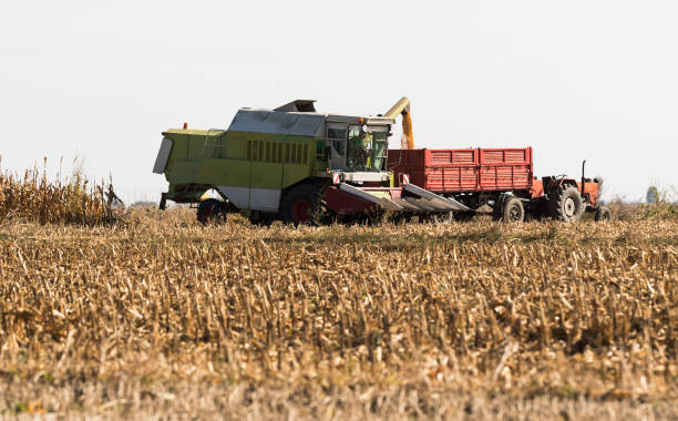 istock Pouring corn grain into tractor trailer after harvest at field 1047661546