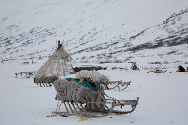 istock Nenets reindeer herders choom on a winter 1047669050