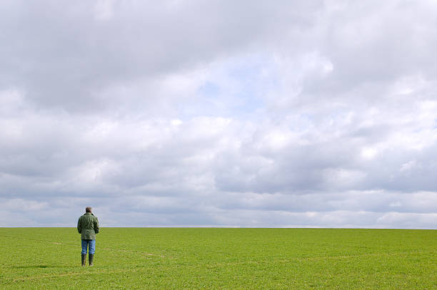 Free Stock Photo of Person Standing in Field Under Cloudy Sky ...