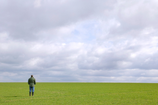 A man standing in a green field under a cloudy sky looking towards the horizon.