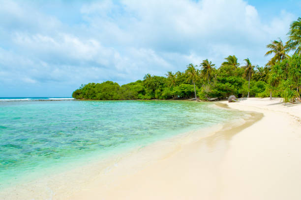 istock Beautiful sandy beach in uninhabited island 1047673996