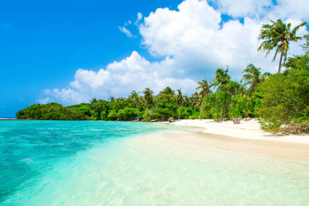 istock Beautiful sandy beach in uninhabited island 1047675078
