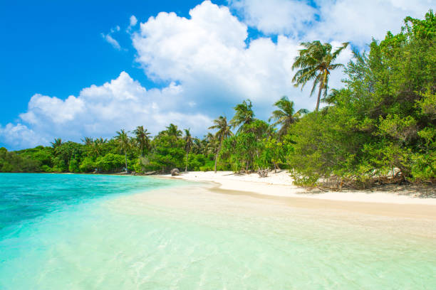 istock Beautiful sandy beach in uninhabited island 1047675444