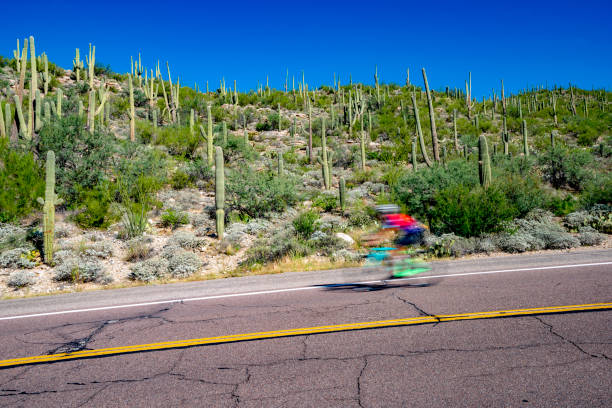 route de montagne cactus saguaro près de tucson en arizona - mt lemmon photos et images de collection