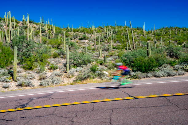 estrada de montanha com cactus saguaro tucson no arizona - mt lemmon - fotografias e filmes do acervo