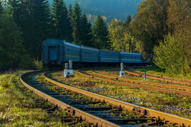 istock train on railroad tracks in the  forest 1047680826