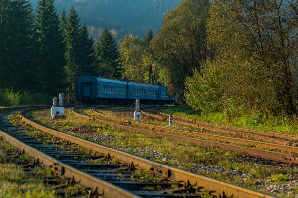 istock train on railroad tracks in the forest 1047680830