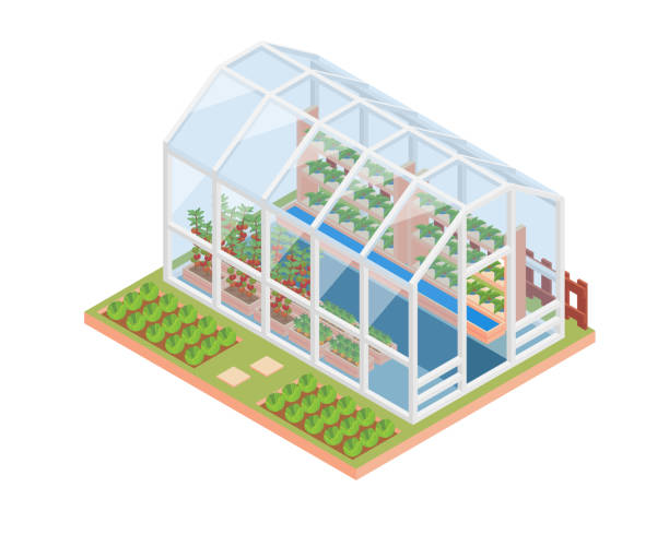 ilustrações de stock, clip art, desenhos animados e ícones de modern isometric eco friendly greenhouse illustration in isolated white background - greenhouse house built structure green