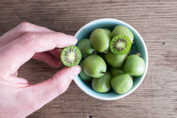 cortada a mão pegando kiwis résistentes ou quivi berry actinidia arguta da bacia cerâmica na mesa da cozinha de madeira - actinidia - fotografias e filmes do acervo