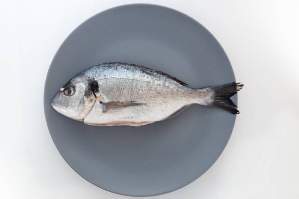 One fish on a grey blueish plate isolated on a white background