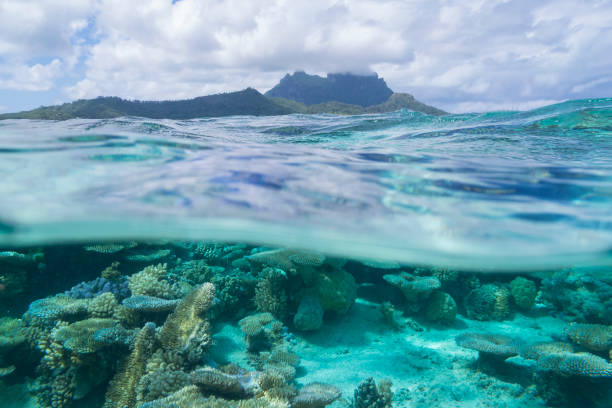 istock Hidden Beneath Tropical Sea and Sky 1047708220