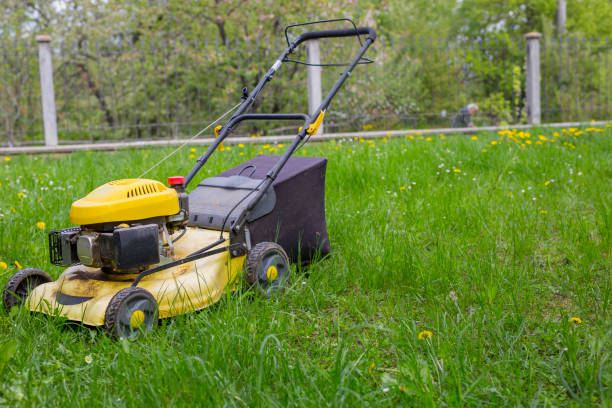 istock horizontal image of a yellow lawnmower in a garden 1047708442