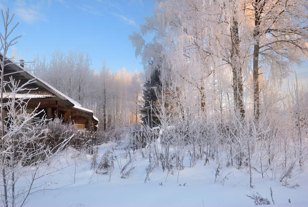 istock Russian countryside in winter time 1047711786