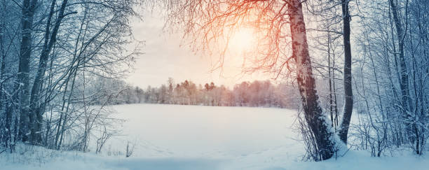 istock trees covered with snow near lake 1047712312