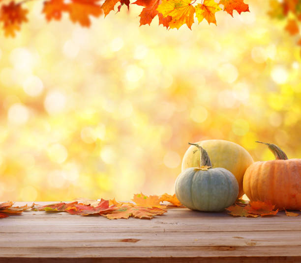 秋の背景に紅葉、カボチャ。収穫または感謝祭の背景 - wall decor ストックフォトと画像