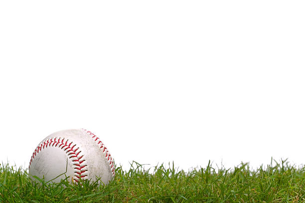 Baseball in the grass A baseball sitting in the grass, shot against a white background. baseball diamond photos stock pictures, royalty-free photos & images