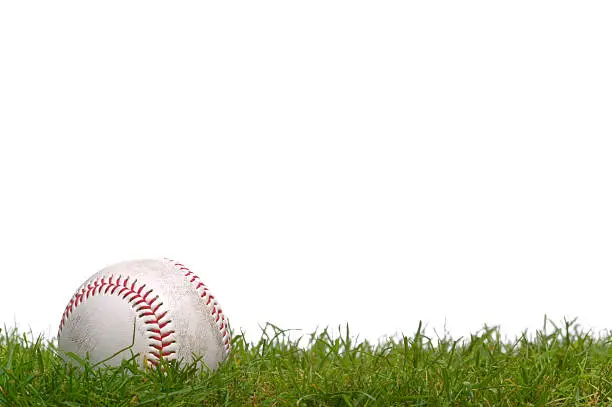 A baseball sitting in the grass, shot against a white background.