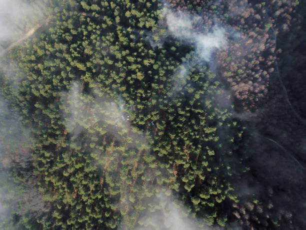istock Aerial view of camping area in forest 1047749670