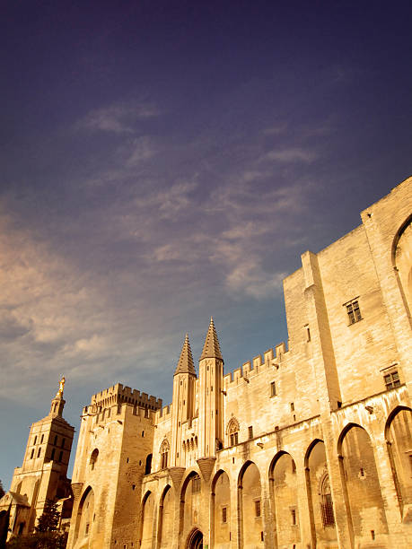 istock Avignon's  Palace of the Popes 104775099