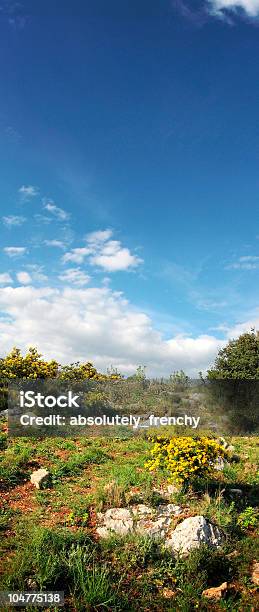 Excursionismo Vista Panorámica Foto de stock y más banco de imágenes de Aire libre - Aire libre, Arbusto, Aulaga