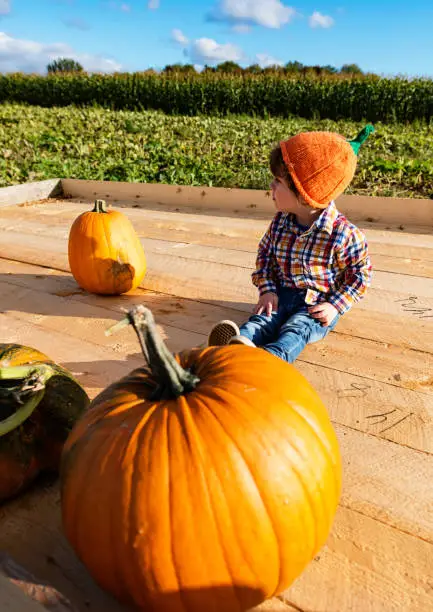 Photo of Pumpkin Picking