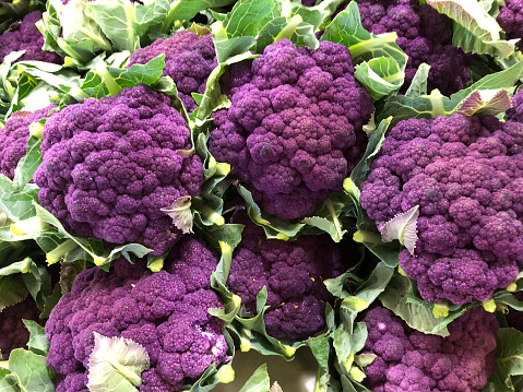 Purple Cauliflower for sale at market, great color,