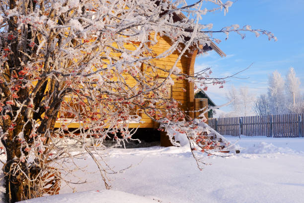 istock Winter in Russian countryside 1047757070