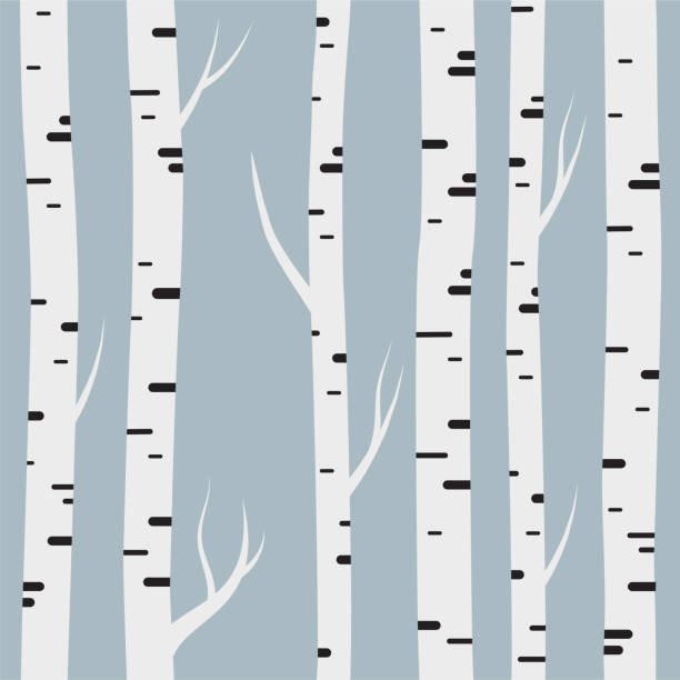 자작나무와 완벽 한 패턴입니다. 배경 화면, 웹 사이트 배경, 베이비 샤워 초대장, 생일 카드, 스크랩북, 직물 인쇄 등에 대 한 요소를 디자인 합니다. 벡터 일러스트입니다. - birch tree birch forest tree stock illustrations