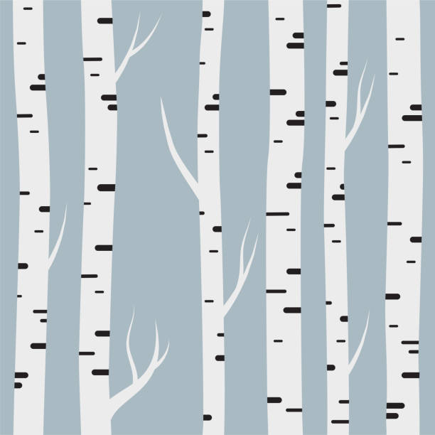 bez szwu z brzozami. element projektu dla tapet, tło strony internetowej, zaproszenie baby shower, karta urodzinowa, scrapbooking, nadruk tkaniny itp. ilustracja wektorowa. - birch tree birch forest tree stock illustrations