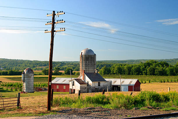 blue sky farm stock photo