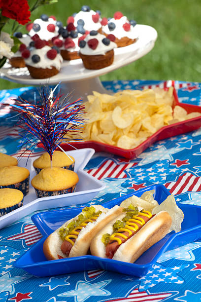 istock 4th of July picnic 104776291
