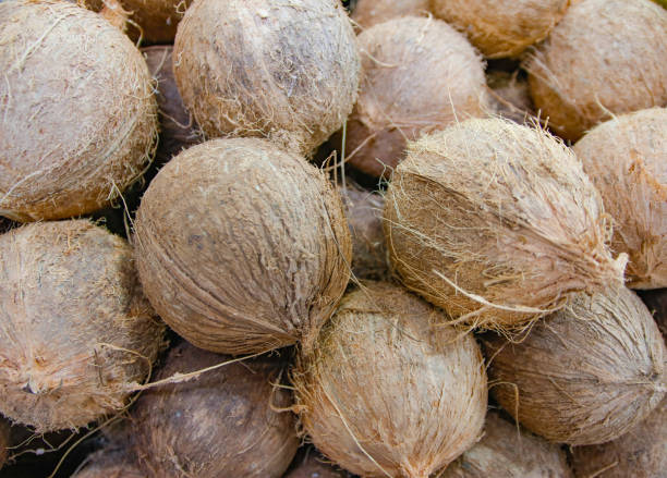 istock Texture and background of dried coconut. 1047764914
