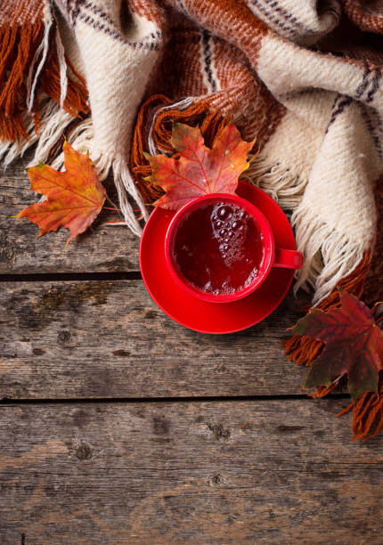 istock Autumn background with cup of tea, plaid and leaves 1047767016