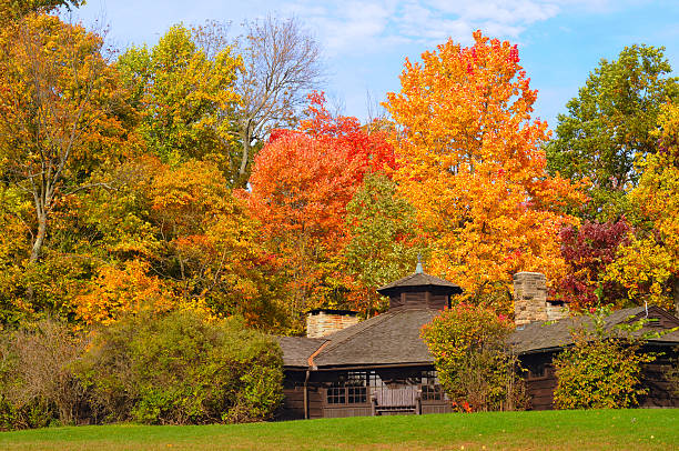istock Park shelter in autumn 104776743