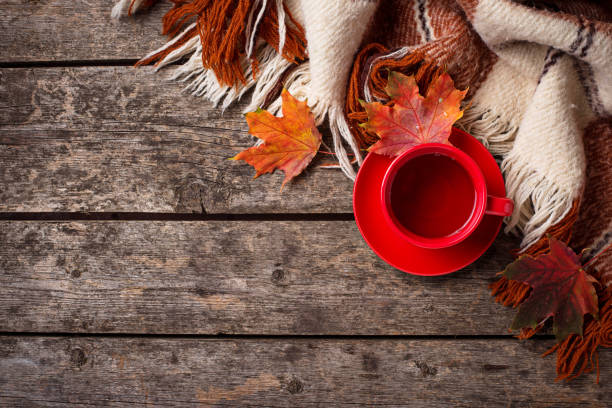 istock Autumn background with cup of tea, plaid and leaves 1047768268