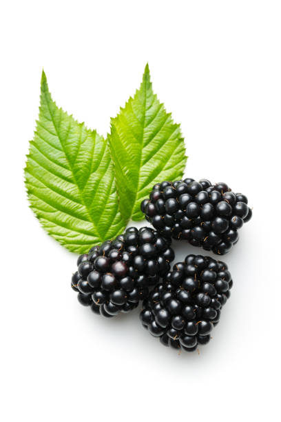 istock Tasty ripe blackberry. 1047774494