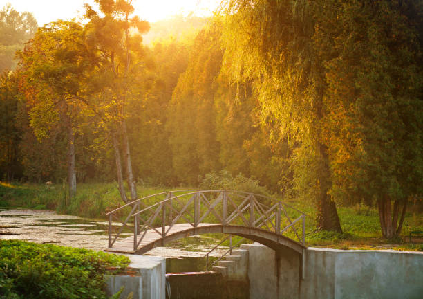 A wooden bridge without railings across a pond in the forest.
