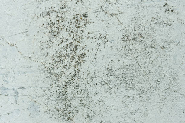 Wall fragment with scratches and cracks. It can be used as a background Texture.  Wall. It can be used as a background бумага stock pictures, royalty-free photos & images