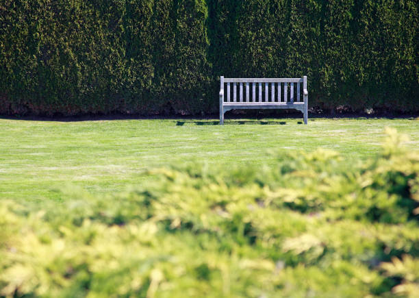 istock Just A Solitary Weathered Bench 1047798380