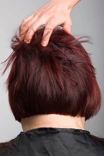 istock Hairdresser ruffle 104781301