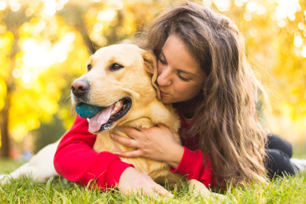 junge lächelnde frau mit ihrem hund - golden retriever dog autumn leaf stock-fotos und bilder