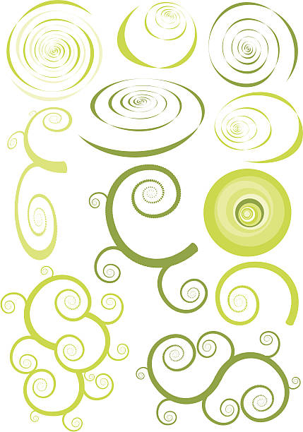 Spinning out of control ... again Collection of spirals, fractals, fern forms and shapes koru pattern stock illustrations