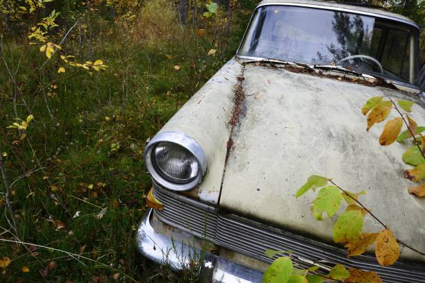 istock abandoned old car in the autumn forest 1047827048