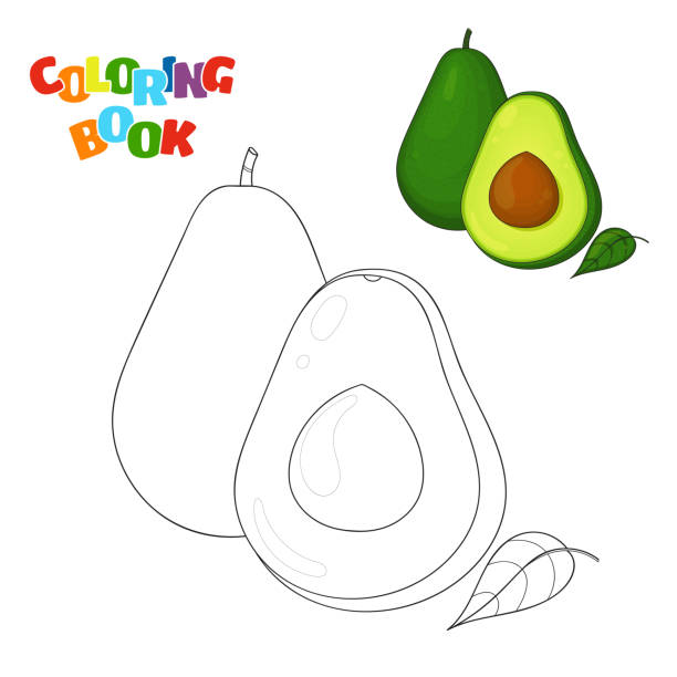 Ilustración de Página De Libro Para Colorear Para Niños En Edad Preescolar Con Contornos De Aguacate Y Un Colorido Ejemplar Ilustración De Vector De Aguacate Para La Educación De Los Niños y Ilustración de Página De Libro Para Colorear Para Niños En Edad Preescolar Con Contornos De Aguacate Y Un Colorido Ejemplar Ilustración De Vector De Aguacate Para La Educación De Los Niños y